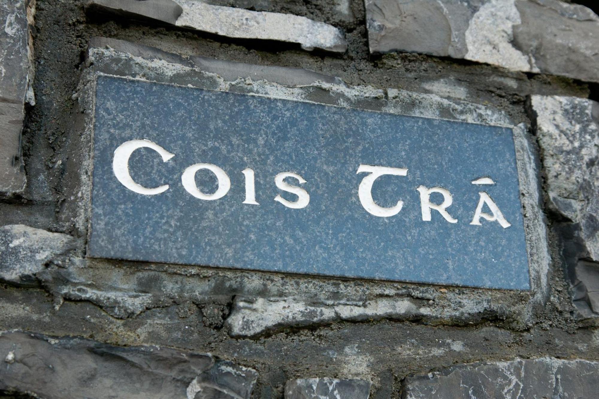 Ceol Na Mara Holiday Homes - Cois Tra & Cor Na Dtonn 恩尼斯克朗 外观 照片
